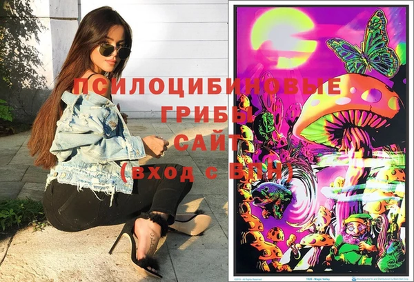 индика Абаза