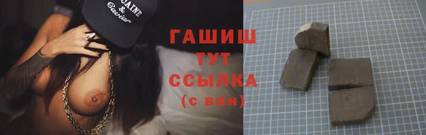 индика Абаза