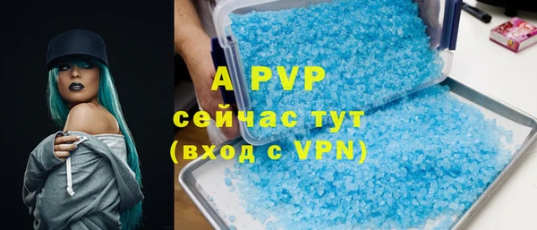 индика Абаза