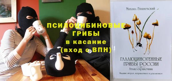 индика Абаза