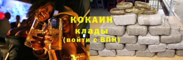 индика Абаза